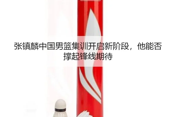 张镇麟中国男篮集训开启新阶段，他能否撑起锋线期待